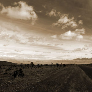 Photo: S-01