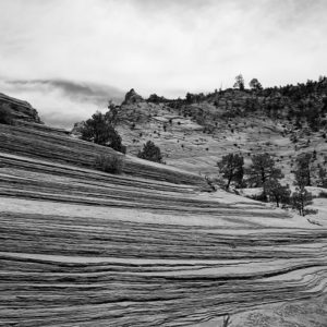 Photo: Z-03-B&W